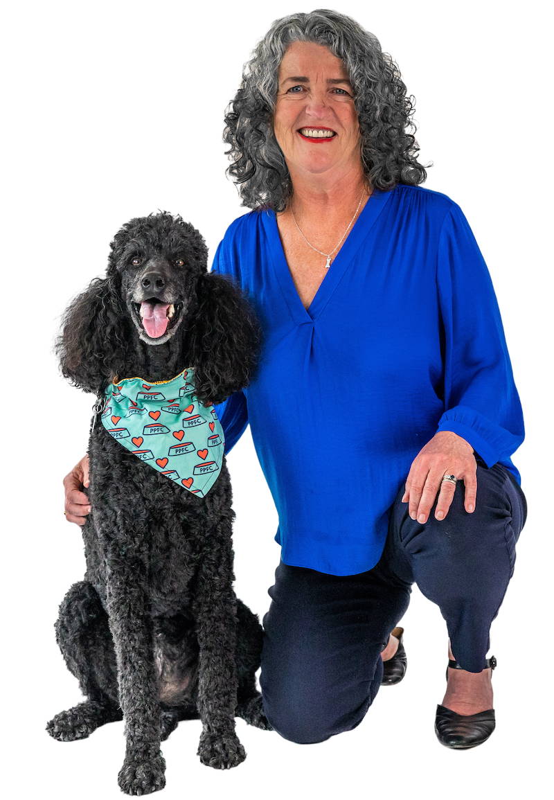 Try Our Dog Meal Variety Pack Portland Pet Food Company